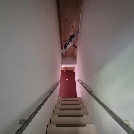 منتزه العطل Enkelburg *